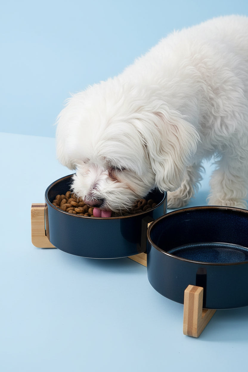 Ceramic Dog Bowl with Wooden Base | Single or Double | Anti-Overturn | Neck Protection