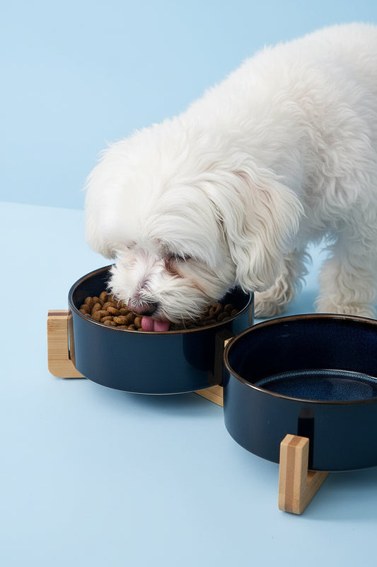 Ceramic Dog Bowl with Wooden Base | Single or Double | Anti-Overturn | Neck Protection
