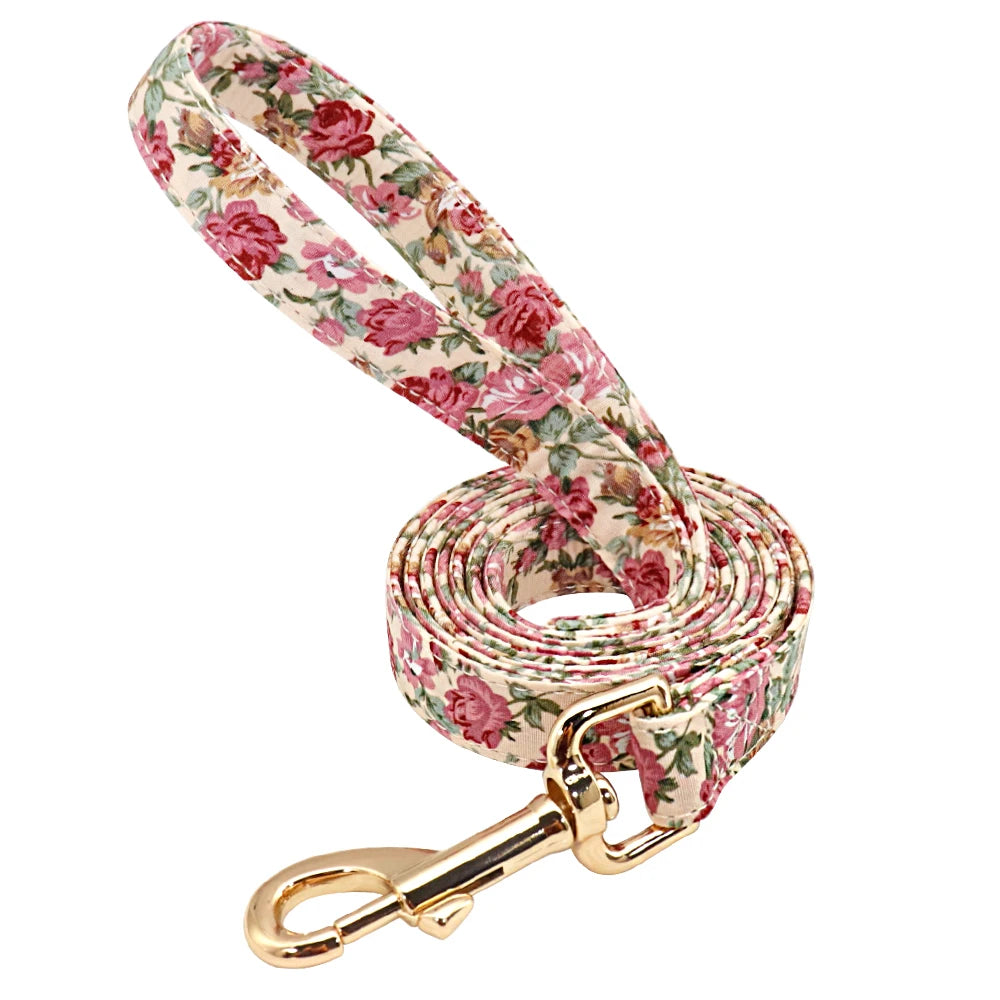 Personalized Dog Collar & Leash Set