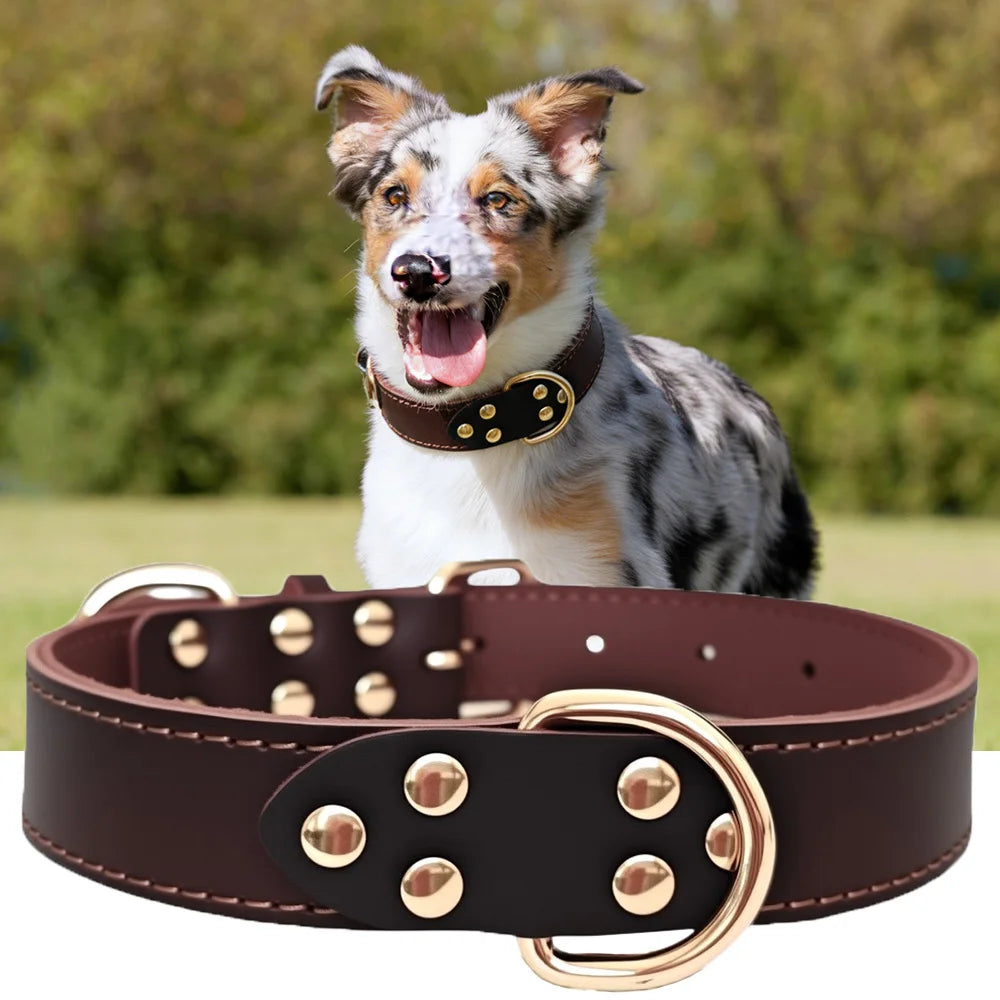 Genuine Top-Layer Leather Dog Collar | Handmade | Skin-Friendly | 3 Sizes | Medium to Large