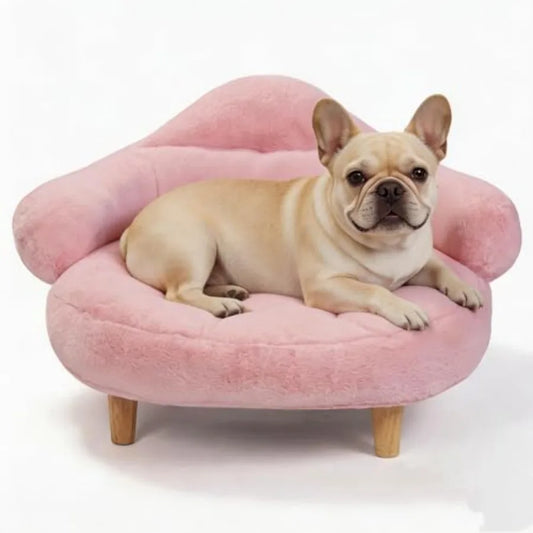 Elevated Dog Sofa Bed | Sturdy Wood Legs | Washable Cover | Small & Medium Dogs