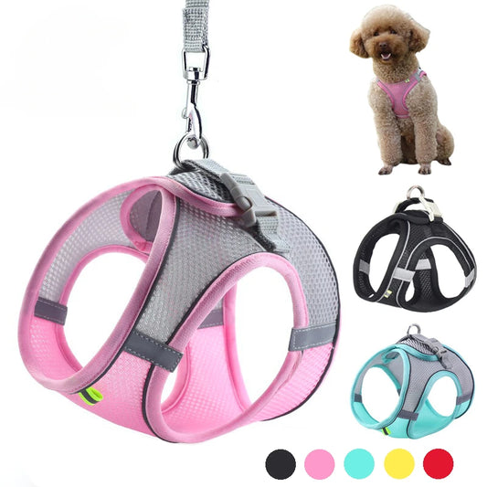 Puppy Harness & Leash Set | Adjustable Vest for French Bulldogs, Chihuahuas & Small Dogs