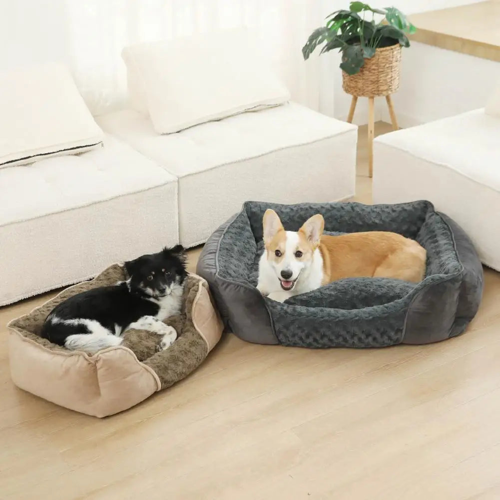 Rectangle Cotton Dog Bed | Removable Cushion | Non-Slip | S & M