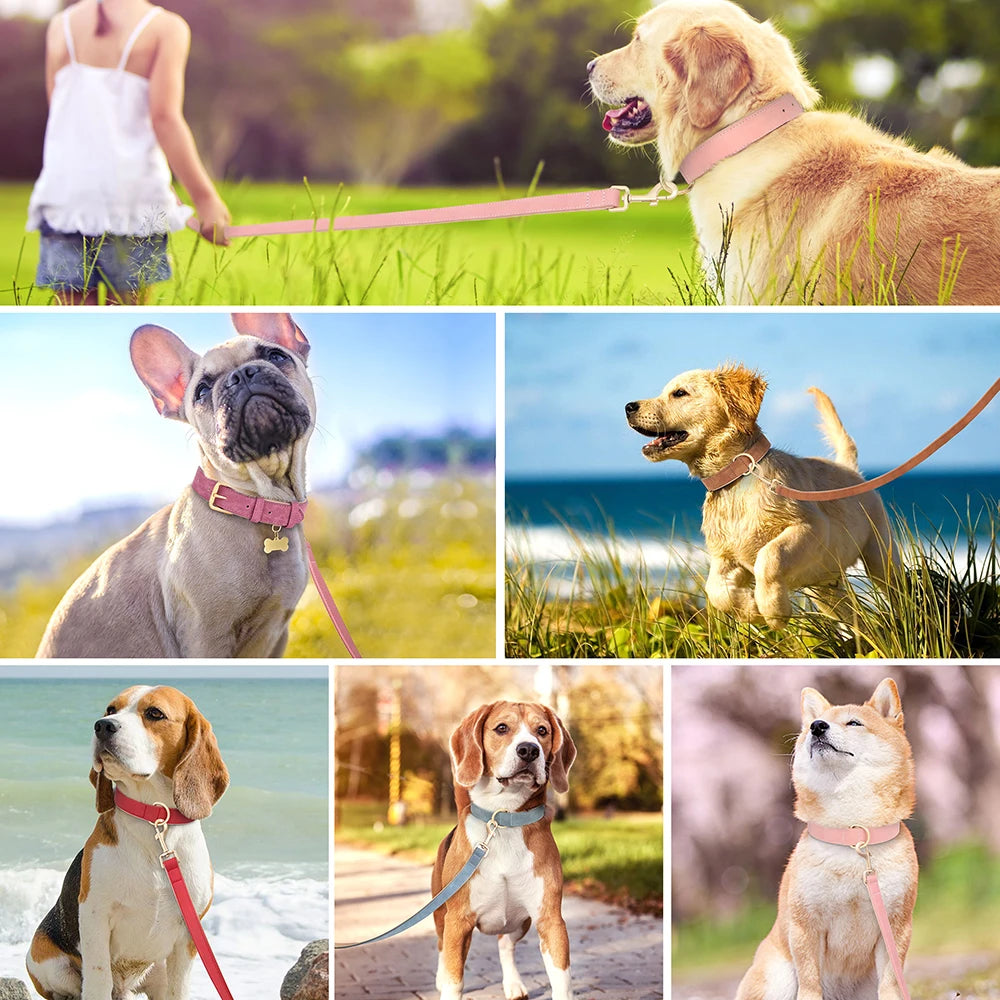 Soft Padded PU Leather Dog Collar & Leash Set — Adjustable, S/M/L/XL