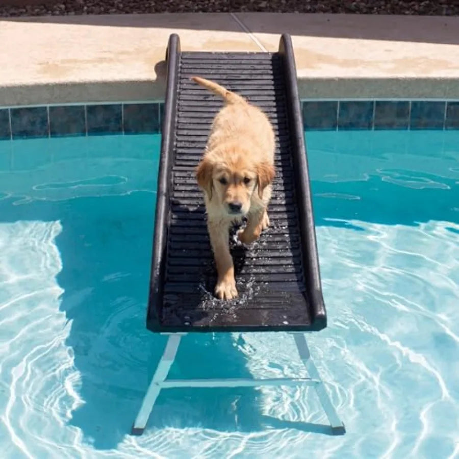 61-Inch Dog Pool Ramp | Foldable, Non-Slip | 20-Inch Support Legs | 200 lbs | Above & In-Ground Pools
