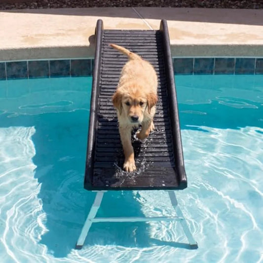 61-Inch Dog Pool Ramp | Foldable, Non-Slip | 20-Inch Support Legs | 200 lbs | Above & In-Ground Pools