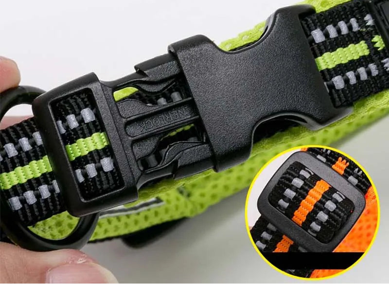 Padded Nylon Dog Collar | Duraflex Buckle | 3M Reflective | 7 Colors | XXS–XXXL