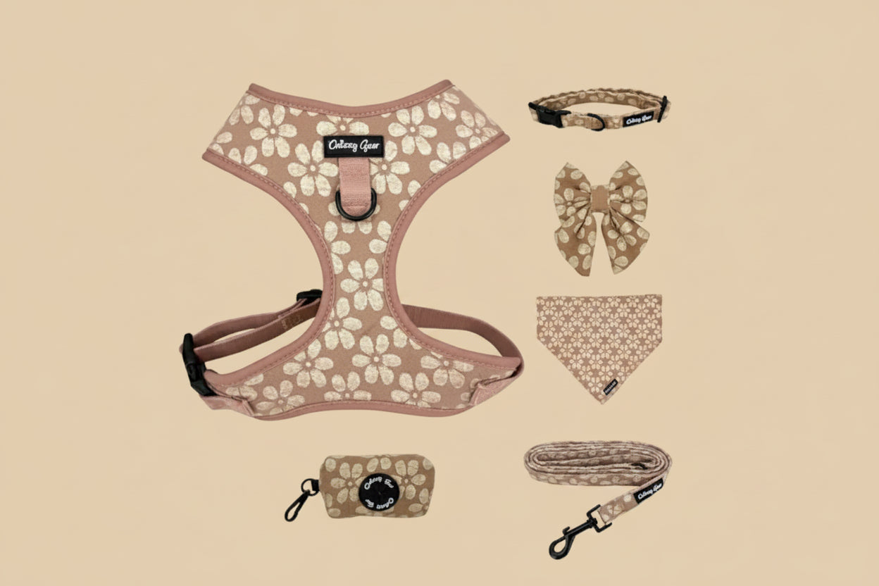 No-Pull Dog Harness & Collar Set