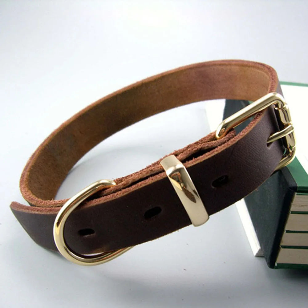 Heavy Duty Real Leather Dog Collar | Rust-Proof Metal Hardware | Puppy to Large Dog