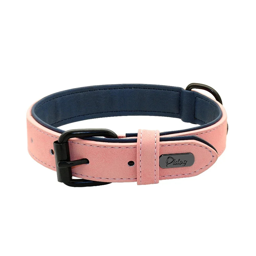 Soft Padded Genuine Leather Dog Collar | 2-Pack | 7 Colors | S–XXL | Large Breeds