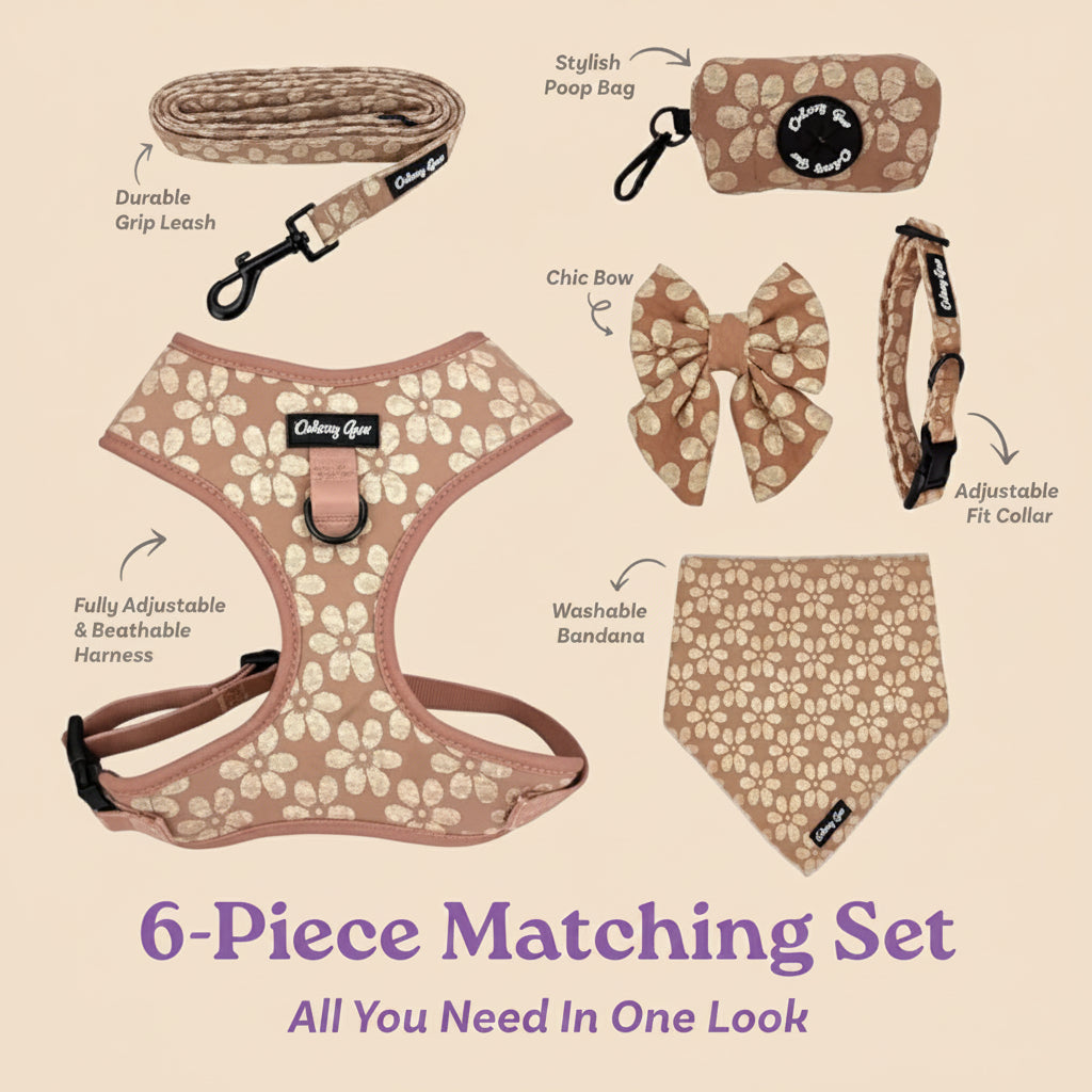 No-Pull Dog Harness & Collar Set