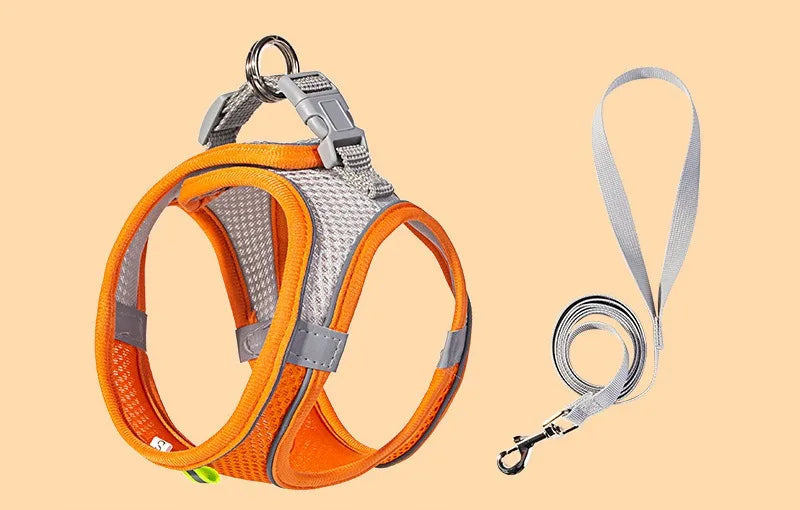 Puppy Harness & Leash Set | Adjustable Vest for French Bulldogs, Chihuahuas & Small Dogs