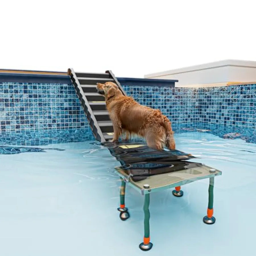Adjustable 4-Leg Dog Pool Ramp | Quick Setup, Foldable | 200 lbs Capacity | Non-Slip