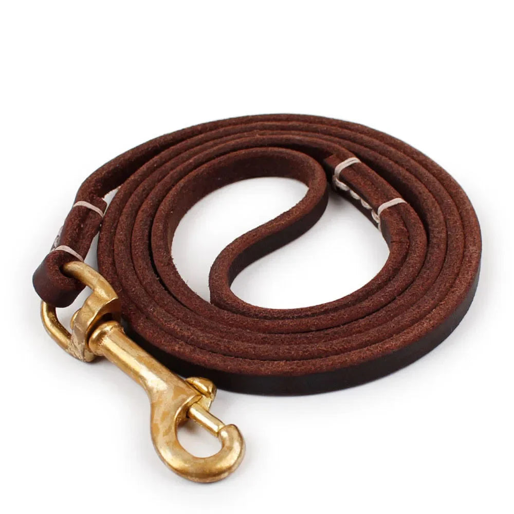 Full-Grain Leather Dog Leash | Training & Walking Leash for Small & Medium Dogs