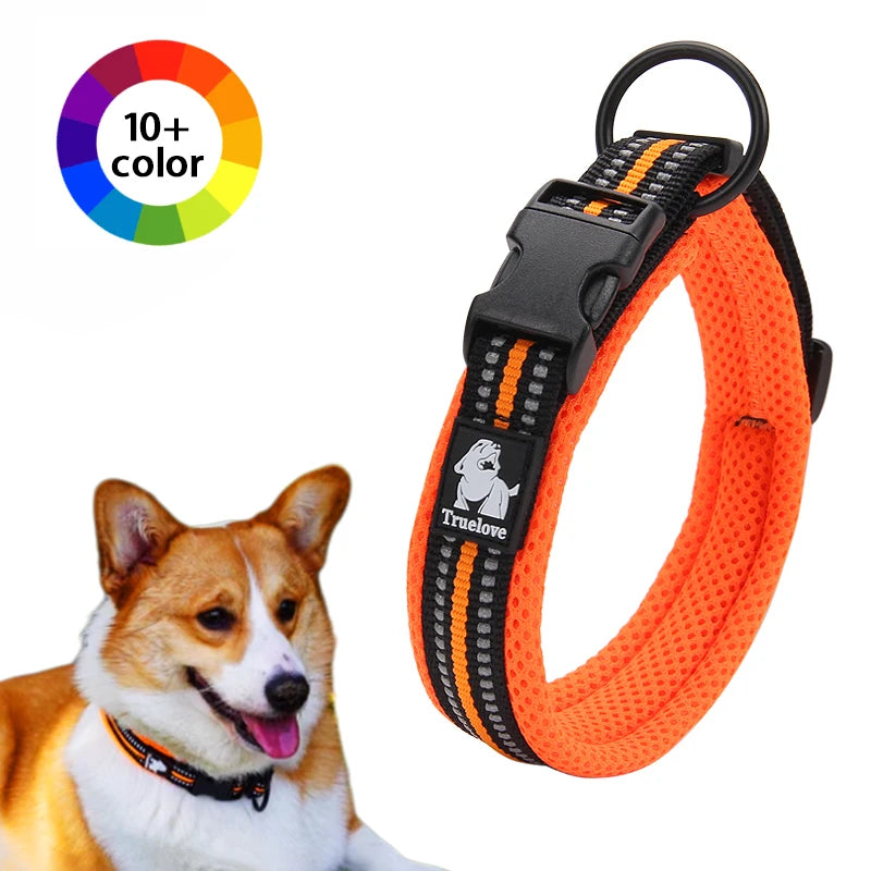 Padded Nylon Dog Collar | Duraflex Buckle | 3M Reflective | 7 Colors | XXS–XXXL