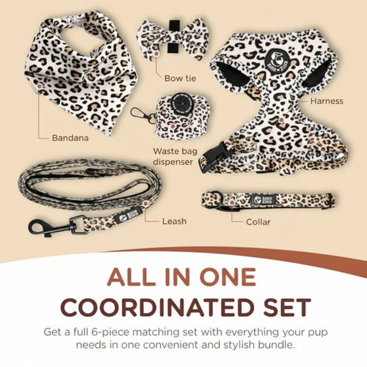 6-in-1 No-Pull Dog Harness & Leash Set