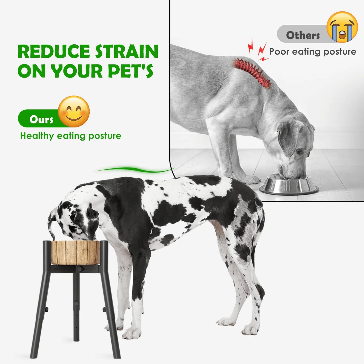 Adjustable Metal Elevated Dog Bowl Stand | 3 Heights | Large Dogs | Bowls Not Included
