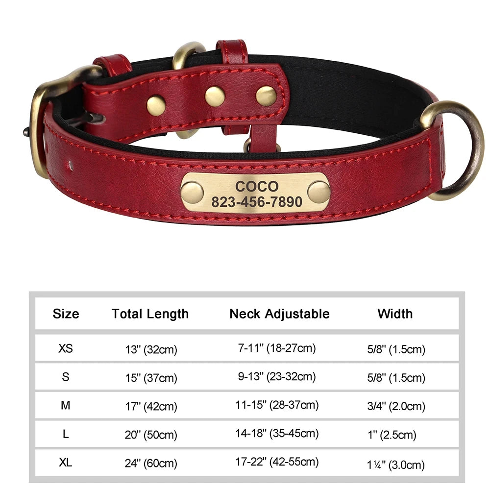 Personalized Leather Dog Collar | Free Name Engraving | Soft Padded | 9 Colors | XS–XL