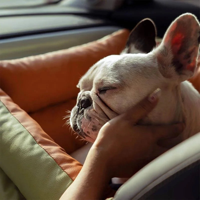 Foldable Dog Car Seat Bed | Anti-Slip, Thickened PP Cotton | Dual-Use Home & Travel