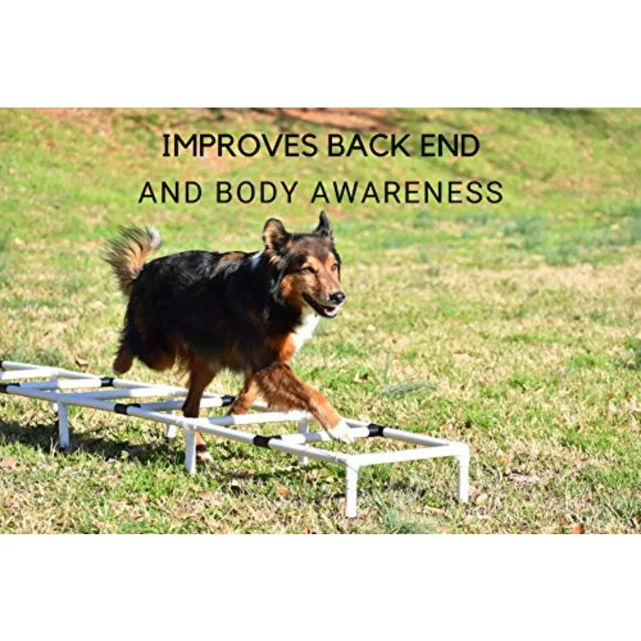 Dog Agility Training Ladder | Footwork & Coordination Exercise | Indoor & Outdoor