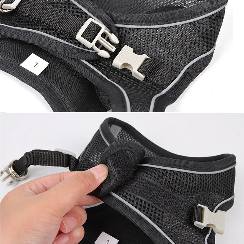 Puppy Harness & Leash Set | Adjustable Vest for French Bulldogs, Chihuahuas & Small Dogs