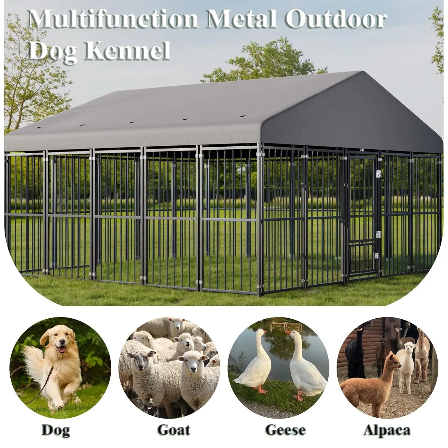 10×10 FT Outdoor Dog Kennel with Roof — Heavy Duty, Escape-Proof Double Locks & Swivel Feeding Door