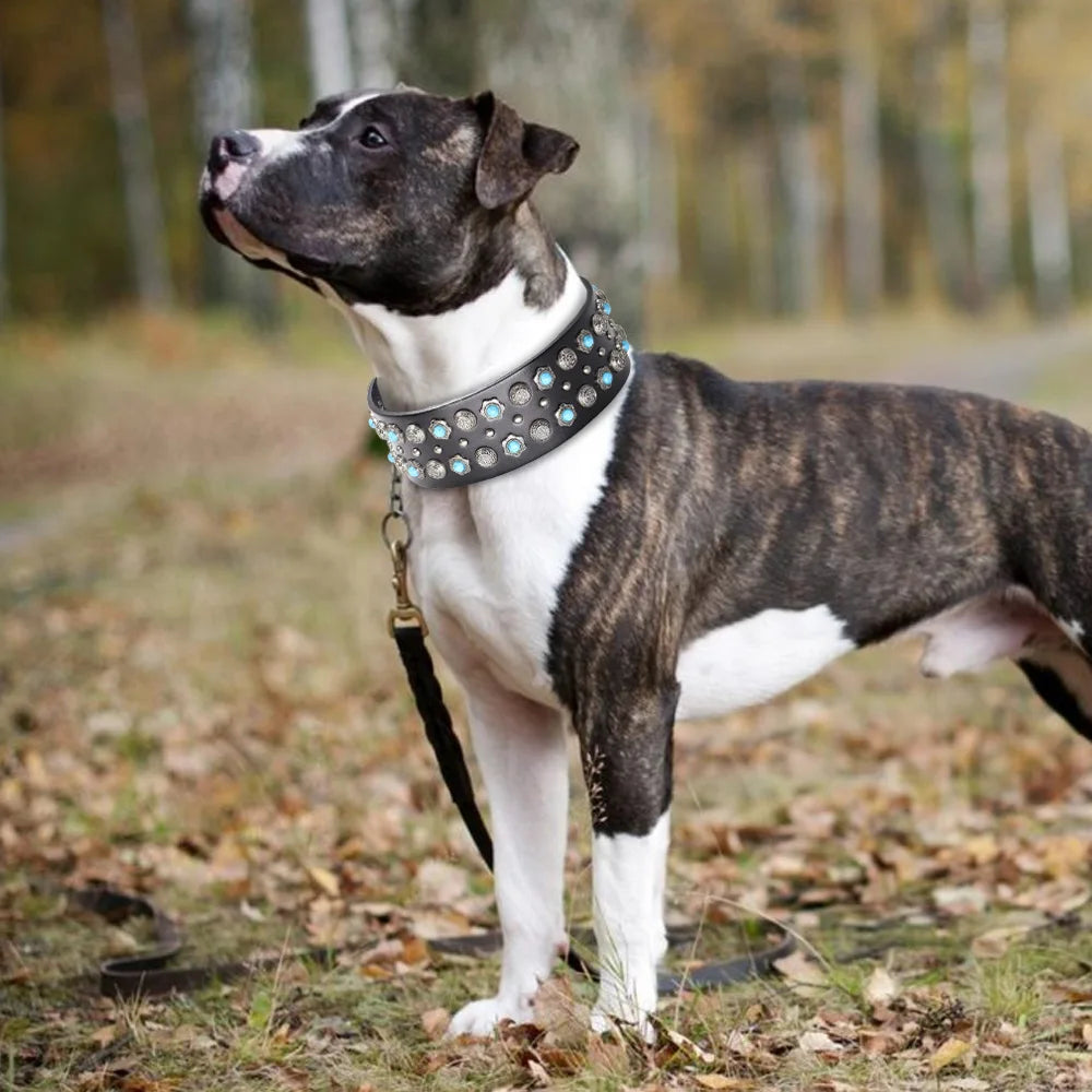 Wide Diamond Spike Leather Dog Collar | 2" Luxury Design | Heavy Duty | Medium to Large Dogs & Pitbulls