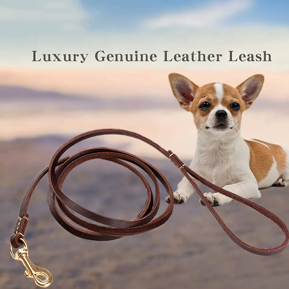 Handmade Genuine Leather Dog Leash | 4 Colors | 130cm & 180cm | Small to Medium Dogs