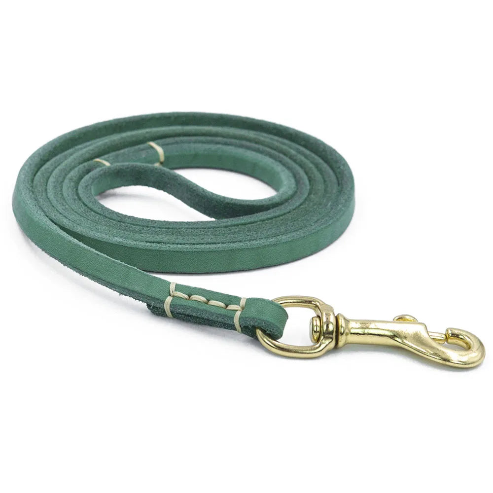 Full-Grain Leather Dog Leash | Training & Walking Leash for Small & Medium Dogs