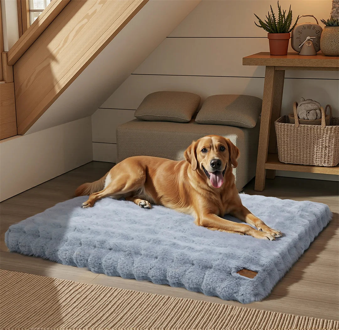 Ultra-Soft Calming Dog Bed | Removable Machine-Washable Cover | Cozy Pet Cushion | Dogs & Cats