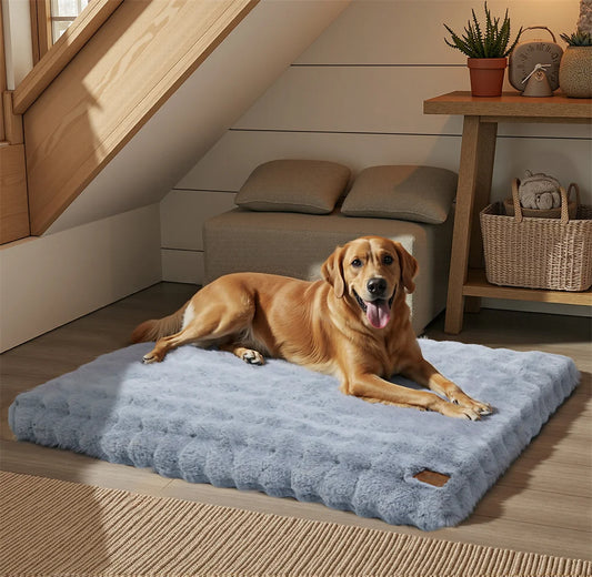 Ultra-Soft Calming Dog Bed | Removable Machine-Washable Cover | Cozy Pet Cushion | Dogs & Cats