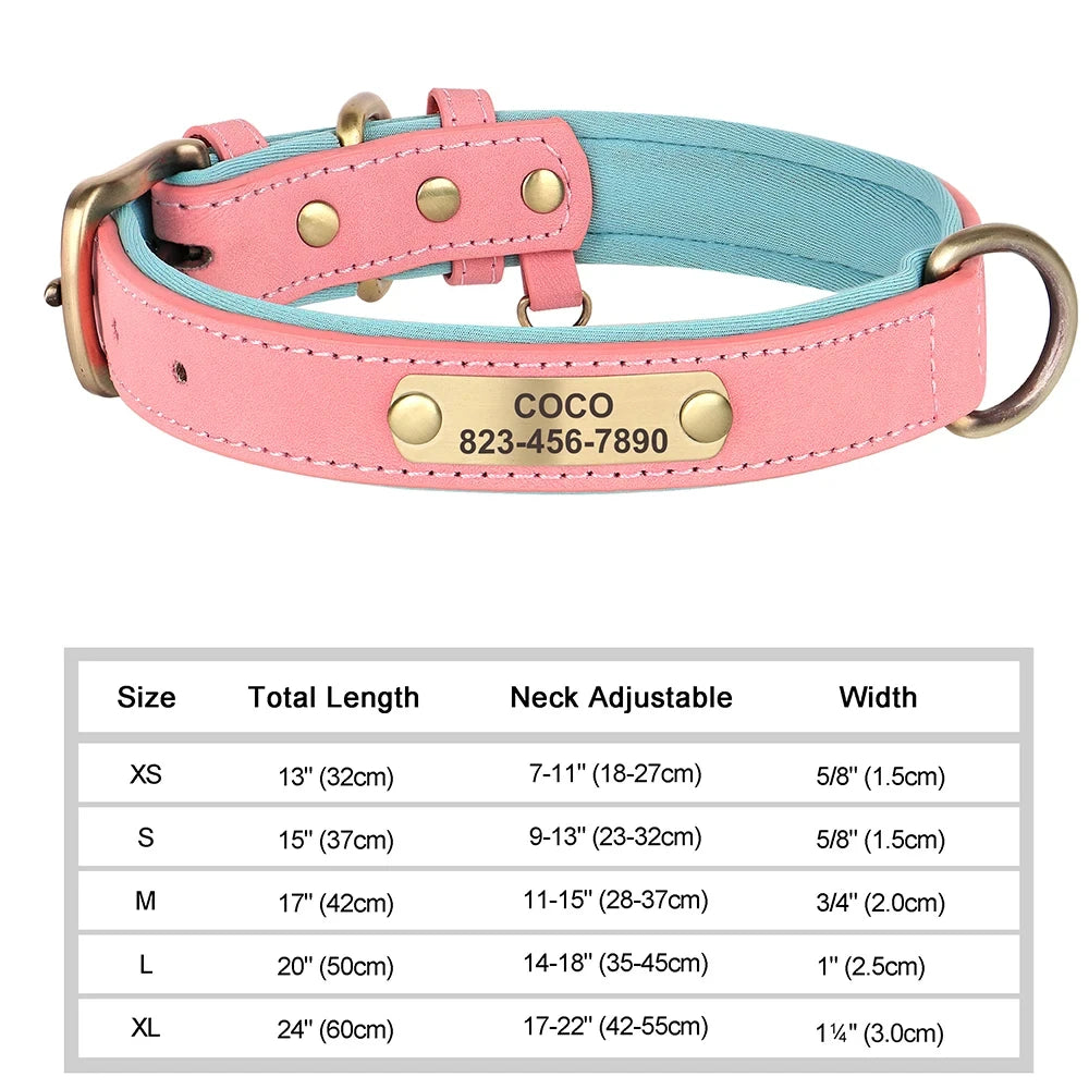 Personalized Leather Dog Collar | Free Name Engraving | Soft Padded | 9 Colors | XS–XL
