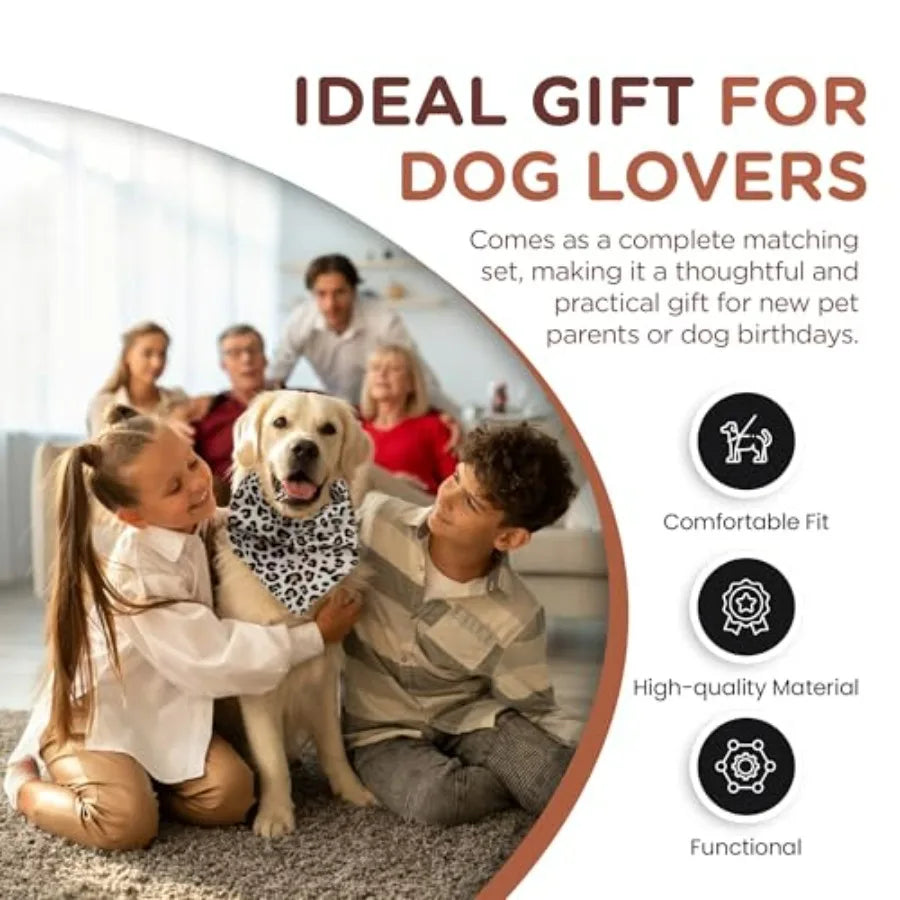 6-in-1 No-Pull Dog Harness & Leash Set