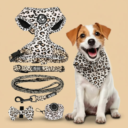 6-in-1 No-Pull Dog Harness & Leash Set