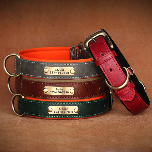 Personalized Leather Dog Collar | Free Name Engraving | Soft Padded | 9 Colors | XS–XL