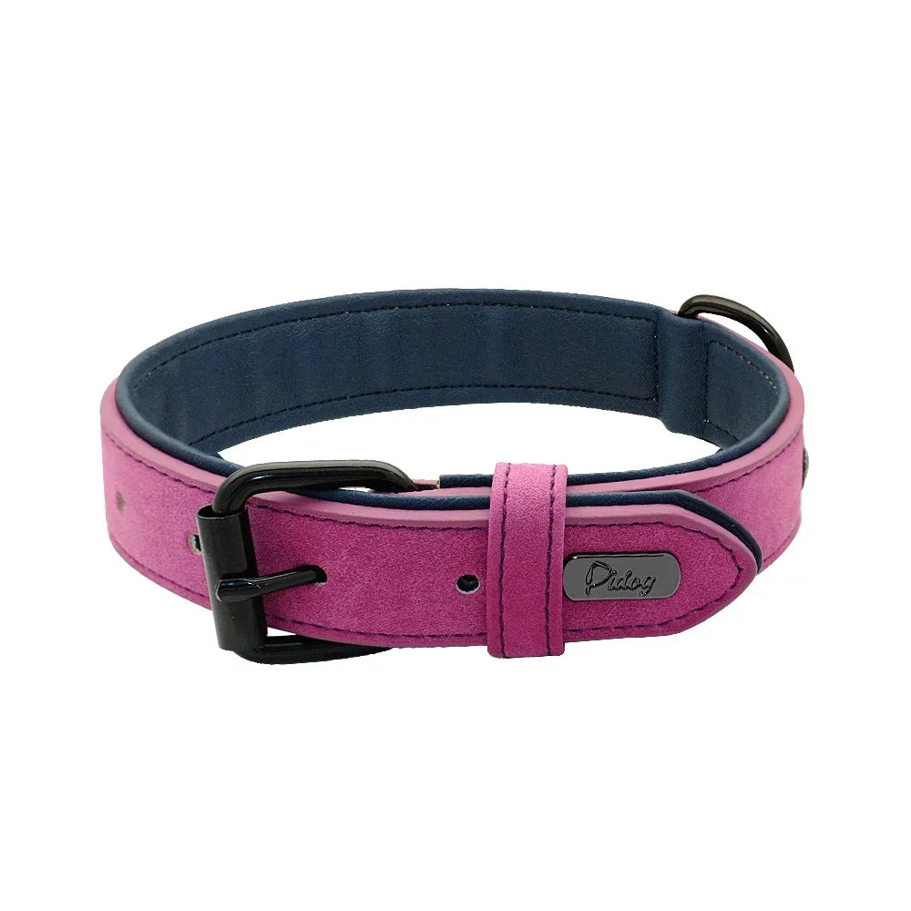 Soft Padded Genuine Leather Dog Collar | 2-Pack | 7 Colors | S–XXL | Large Breeds