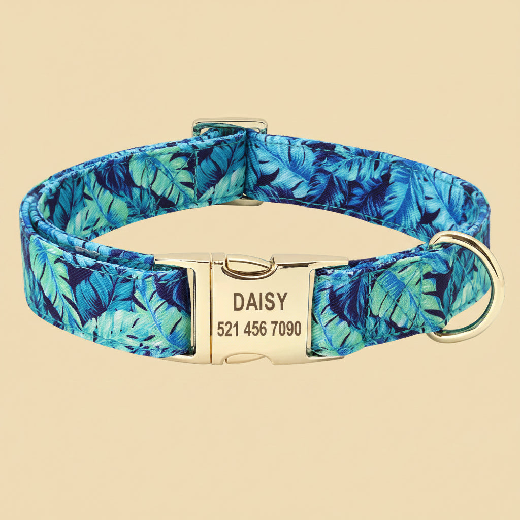Personalized Dog Collar & Leash Set