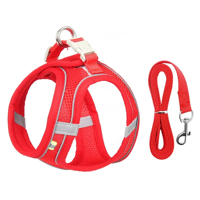 Puppy Harness & Leash Set | Adjustable Vest for French Bulldogs, Chihuahuas & Small Dogs