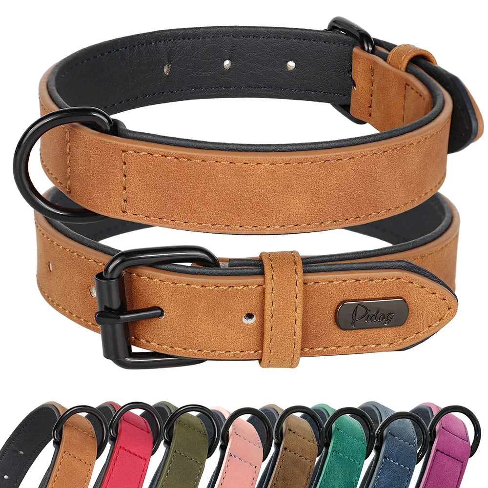 Soft Padded Genuine Leather Dog Collar | 2-Pack | 7 Colors | S–XXL | Large Breeds