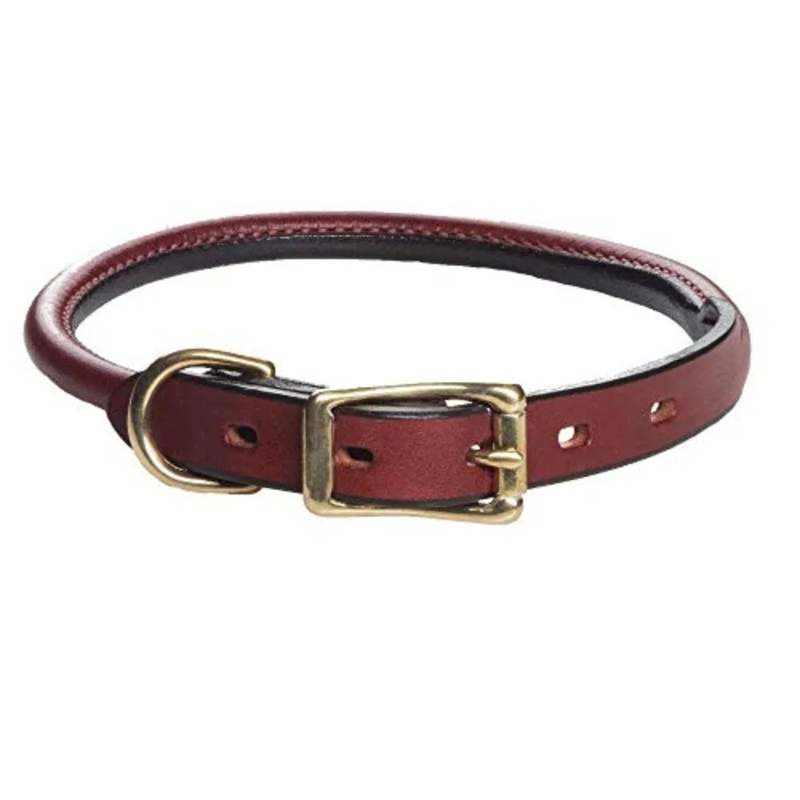 Premium Rolled Leather Dog Collar | Everyday Comfort | Chestnut | 3/4 in x 16 in