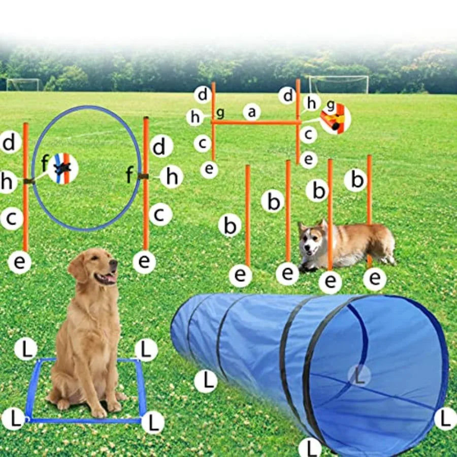 Dog Agility Training Starter Kit | Tunnel & 13 Weave Poles | Adjustable Obstacle Course