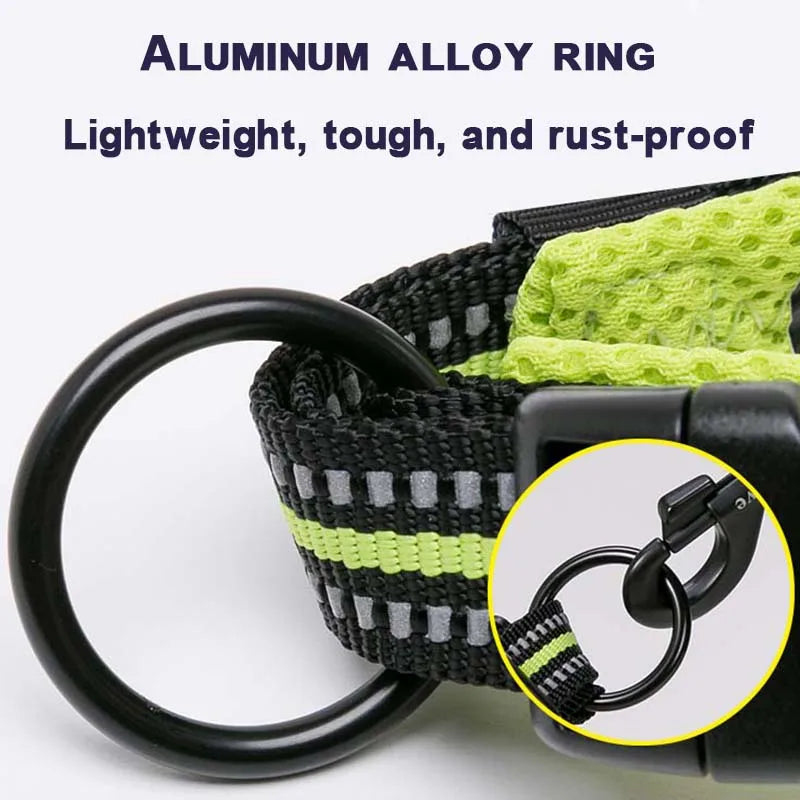 Padded Nylon Dog Collar | Duraflex Buckle | 3M Reflective | 7 Colors | XXS–XXXL