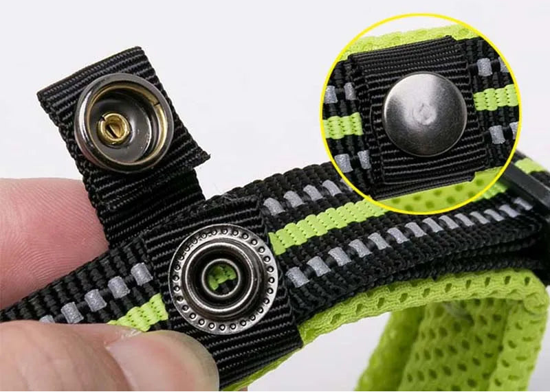 Padded Nylon Dog Collar | Duraflex Buckle | 3M Reflective | 7 Colors | XXS–XXXL
