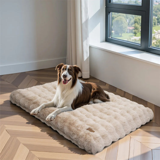 Ultra-Soft Calming Dog Bed | Removable Machine-Washable Cover | Cozy Pet Cushion | Dogs & Cats