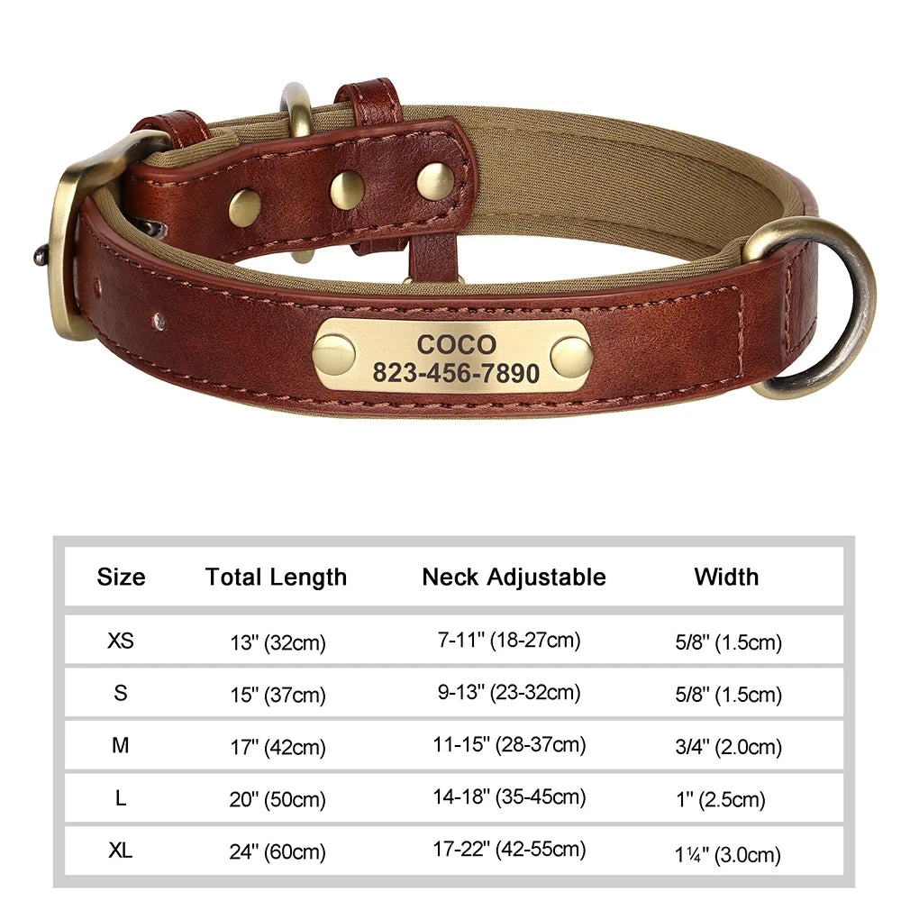 Personalized Leather Dog Collar | Free Name Engraving | Soft Padded | 9 Colors | XS–XL