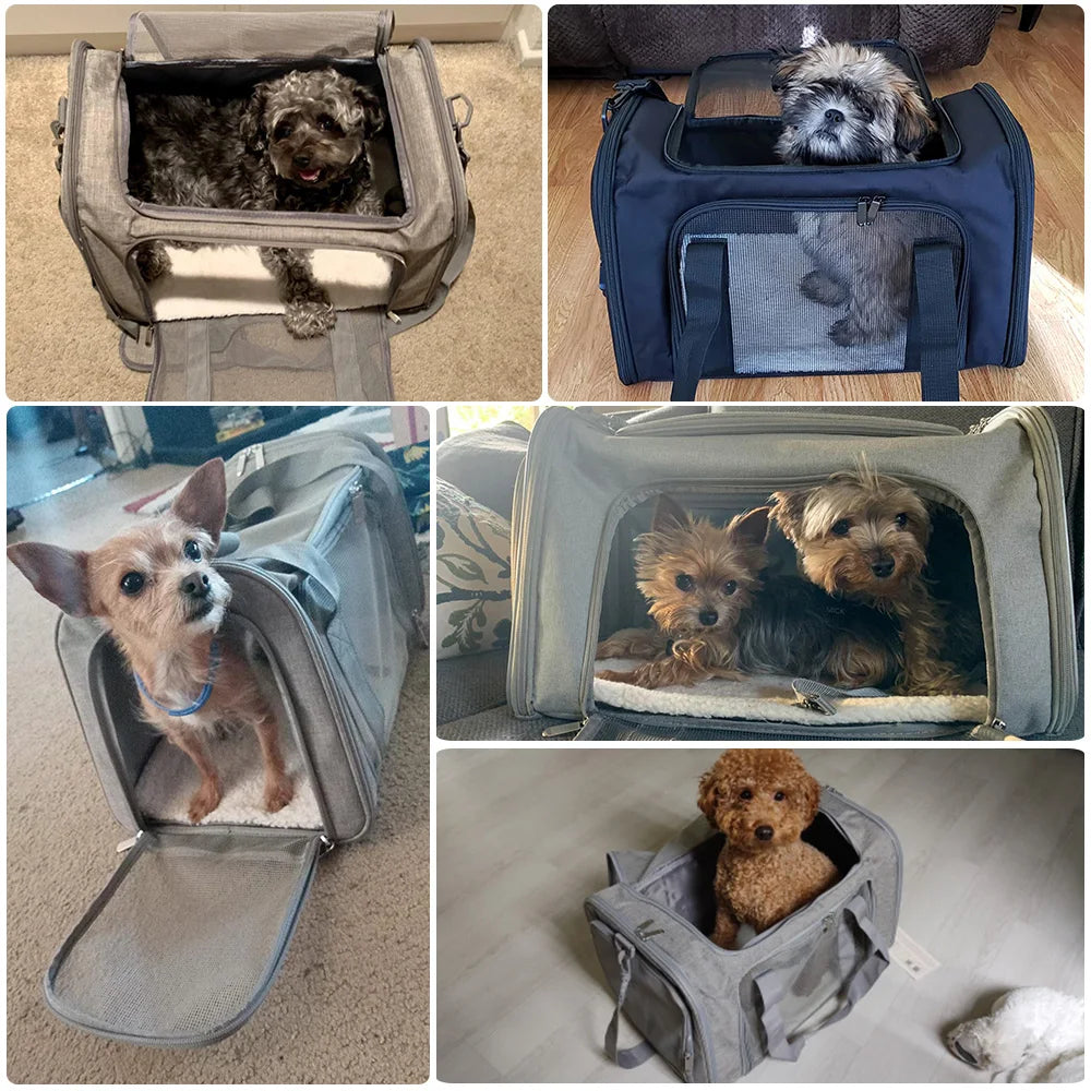 Airline-Approved Dog Carrier Bag — Soft-Sided Backpack with Fleece Pad | M & L