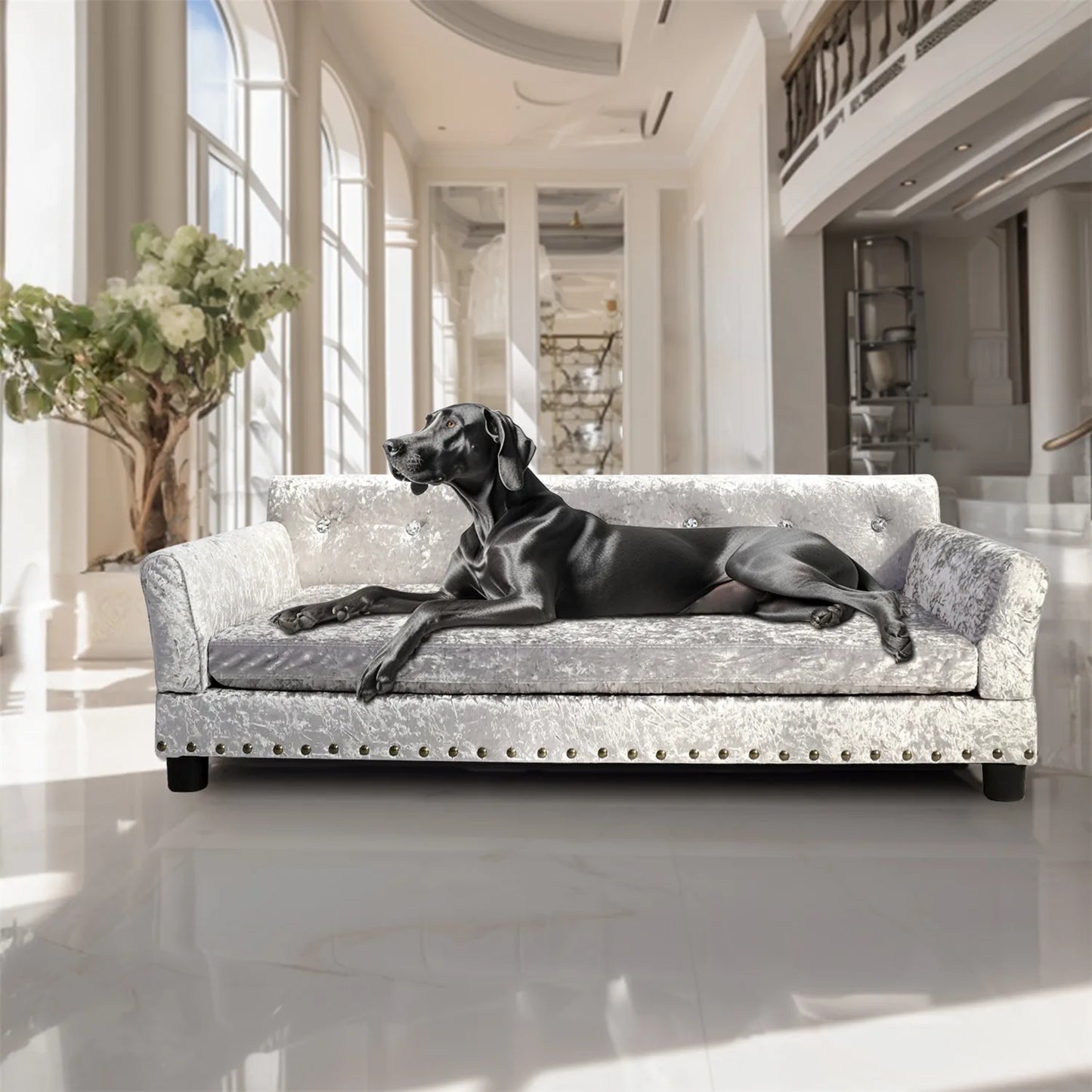 Jumbo Tufted Dutch Velvet Dog Sofa | Large & Extra-Large Dogs