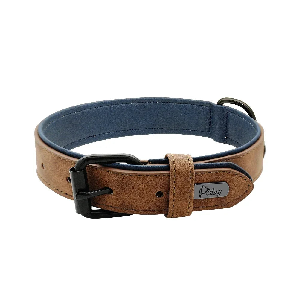 Soft Padded Genuine Leather Dog Collar | 2-Pack | 7 Colors | S–XXL | Large Breeds