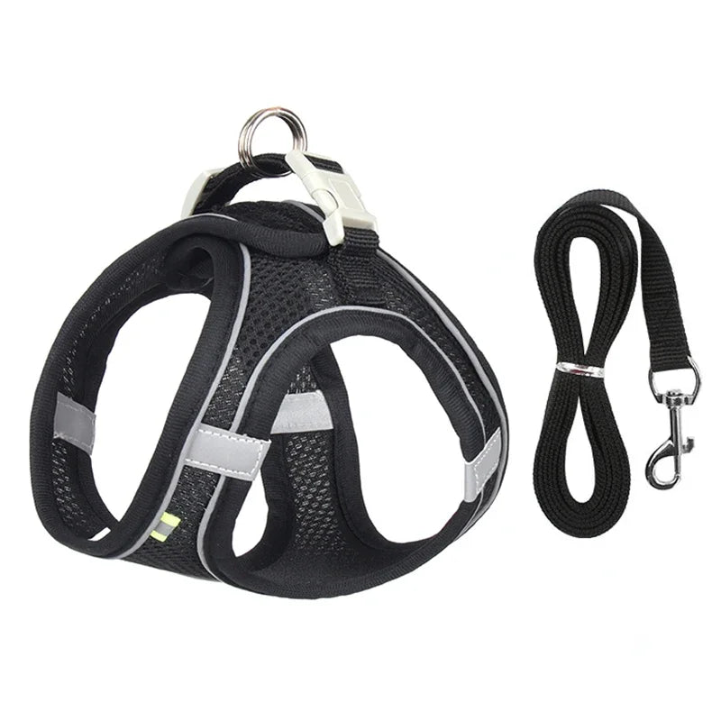 Puppy Harness & Leash Set | Adjustable Vest for French Bulldogs, Chihuahuas & Small Dogs