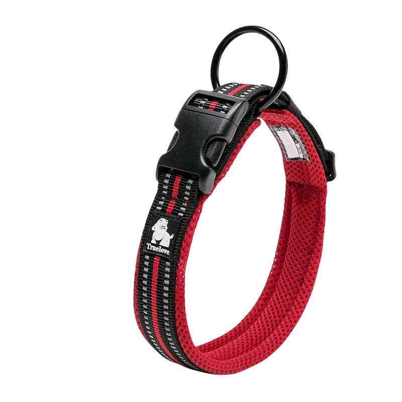 Padded Nylon Dog Collar | Duraflex Buckle | 3M Reflective | 7 Colors | XXS–XXXL